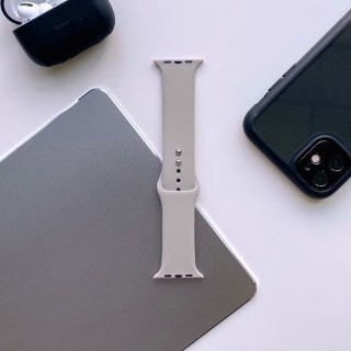 Pasek Tech-Protect Iconband Apple Watch 4/5/6/7/SE/8/9/Ultra 44/45/49mm Grey